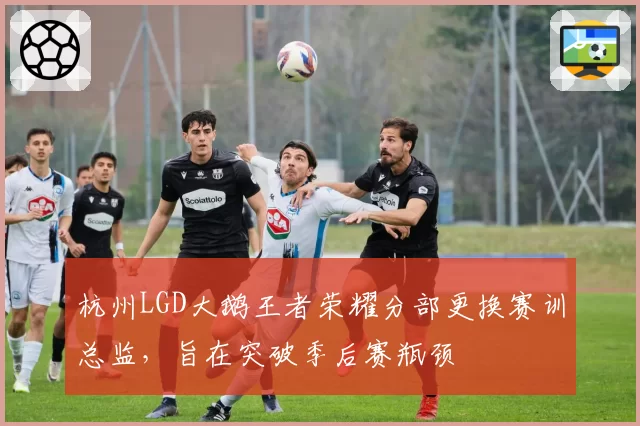 杭州LGD大鹅王者荣耀分部更换赛训总监，旨在突破季后赛瓶颈